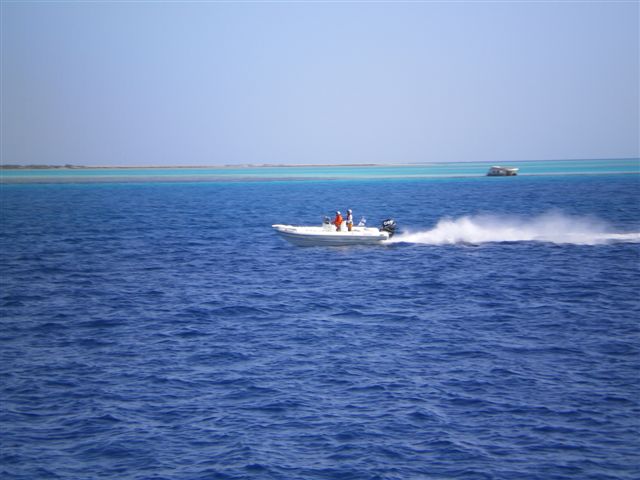 IMGP0782