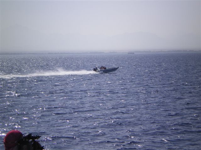 IMGP0784