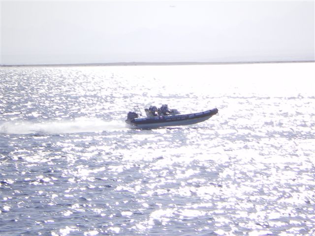 IMGP0786