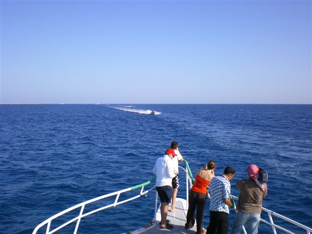 IMGP0795