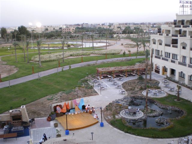 IMGP0801