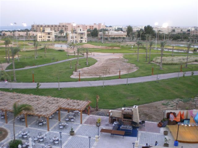 IMGP0802