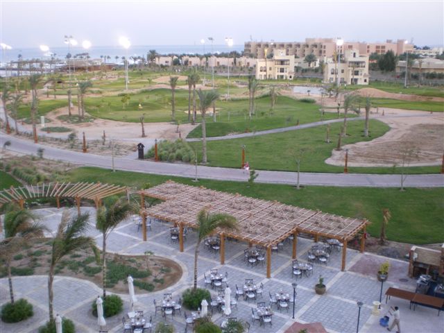 IMGP0803