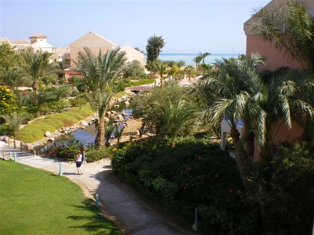 IMGP1101